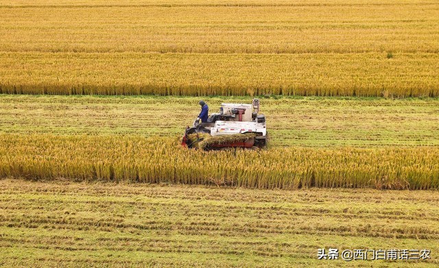 农村土地有偿永久性退出试点村，一亩承包地给3万，你愿意退吗？