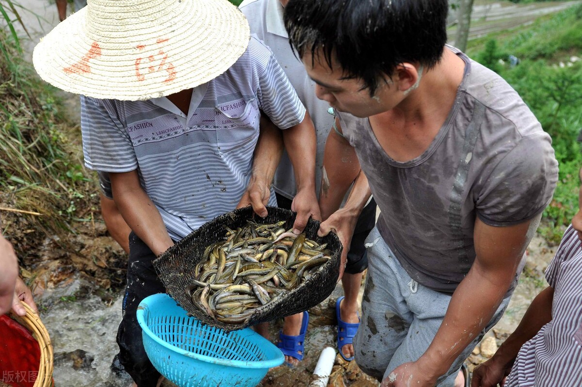 菜价大涨，鱼价涨60%，接下来农村还有4样东西涨价，生活成本增加