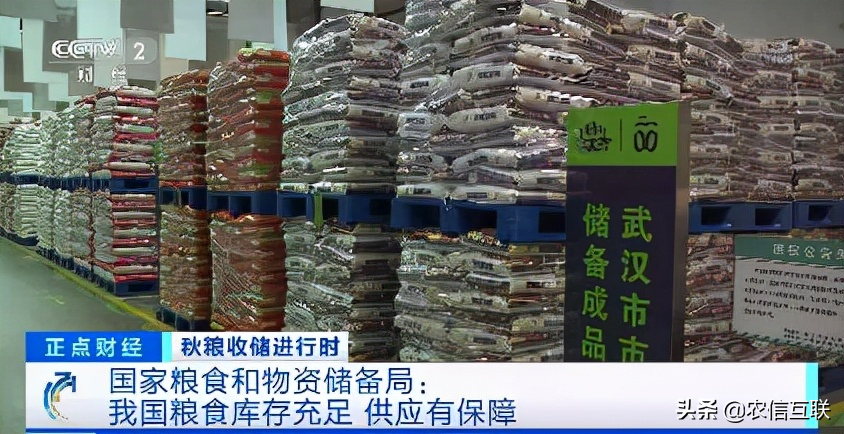 玉米要重回1.5元时代？暂时很难！粮食储备司发话，丰收已成定局