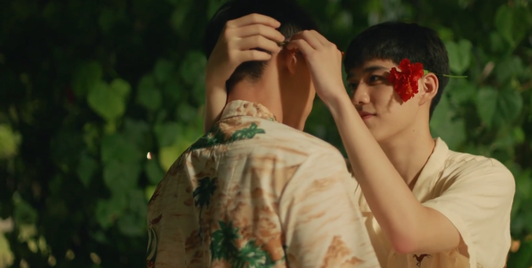 断背电影剧情完整「解说」 _晶羽科技