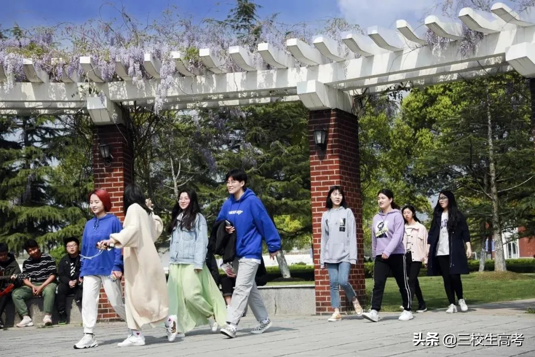 报考上海立达学院专升本，竟然还有免费游学大礼包