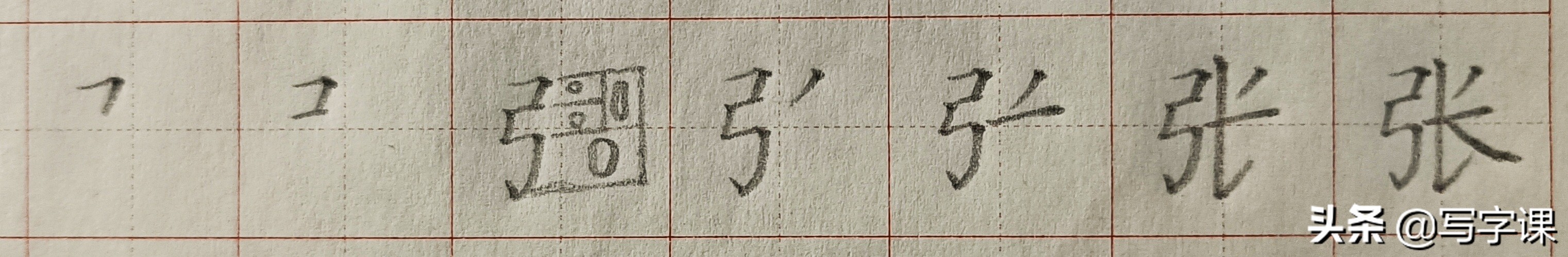 张的笔顺笔画顺序百家姓张的写法