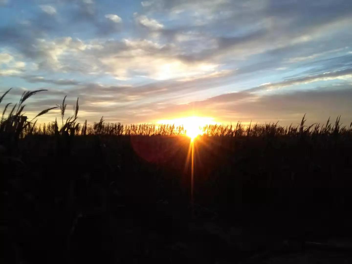 《原创文章》幸福就是不多想