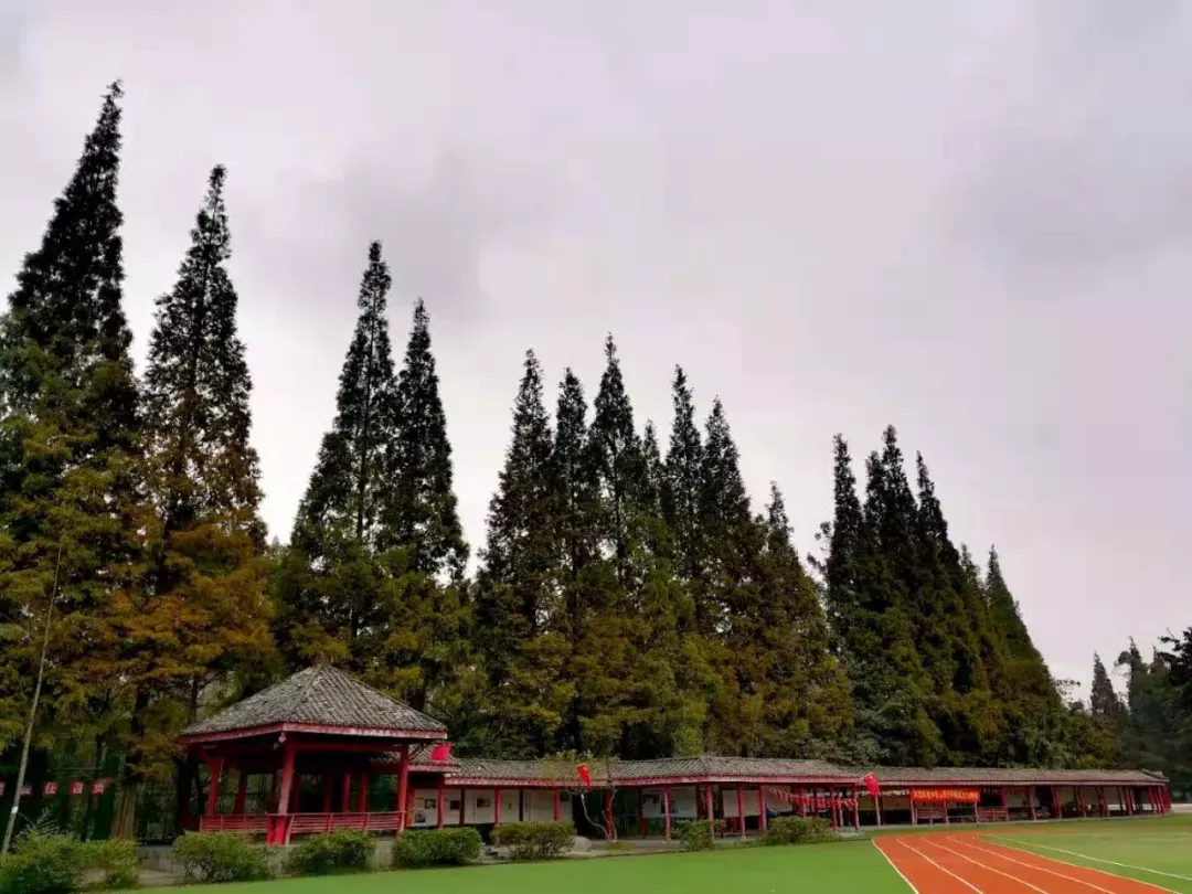 今日盘点！郫都区的民办初中