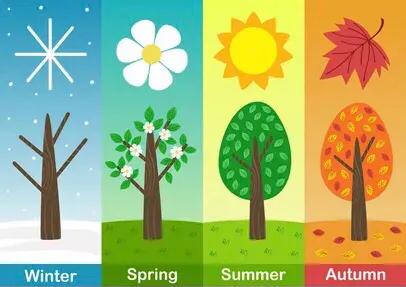 英语学习#二年级下册#关于季节