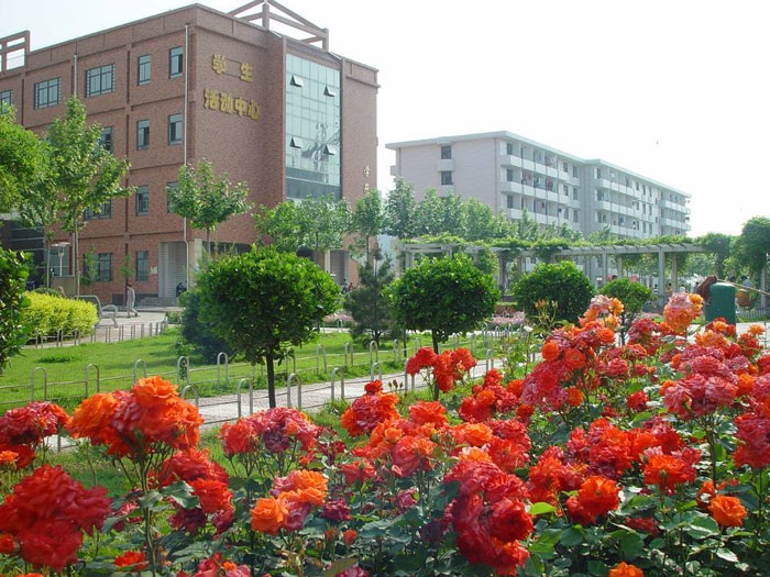 美术考生的心声：如果早知道我也可以上这所“211”工程建设大学