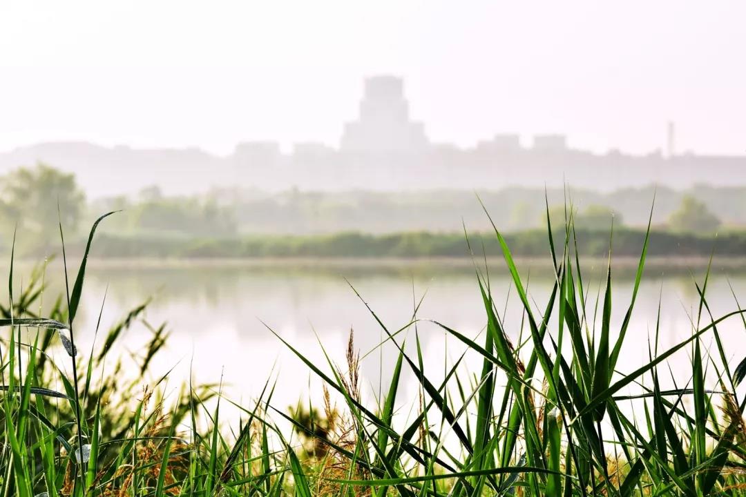 中国第一所“没有围墙的大学”宿舍图曝光！网友：我要考西安交大！