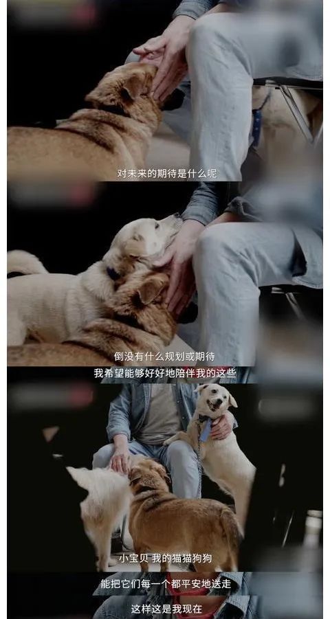 台湾十大帅哥今昔对比，有人发福，有人生活艰辛，有人害女友跳楼