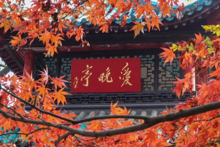 坐享5A级景区，坐拥3条专属地铁线，湖南这所高校获《人民日报》认证！