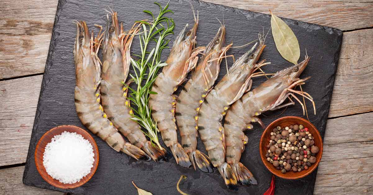 亚洲虎虾"入侵":比亚洲鲤鱼还猛,跟手臂一样大,美国无计可施