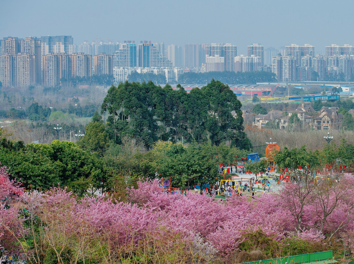 成都市新都区的高校