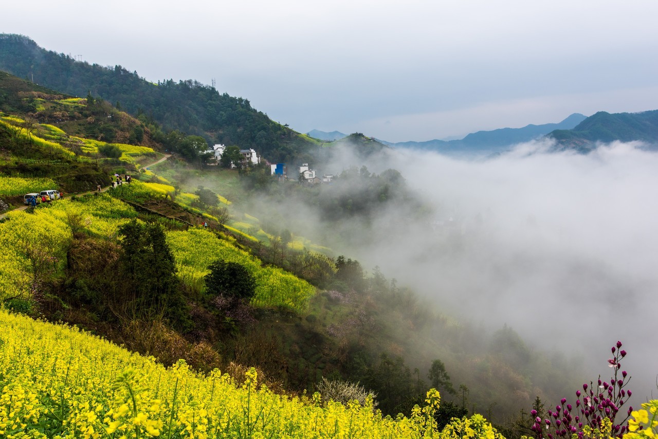登山的脚步，踏碎晨雾，步步坚定向高峰迈进