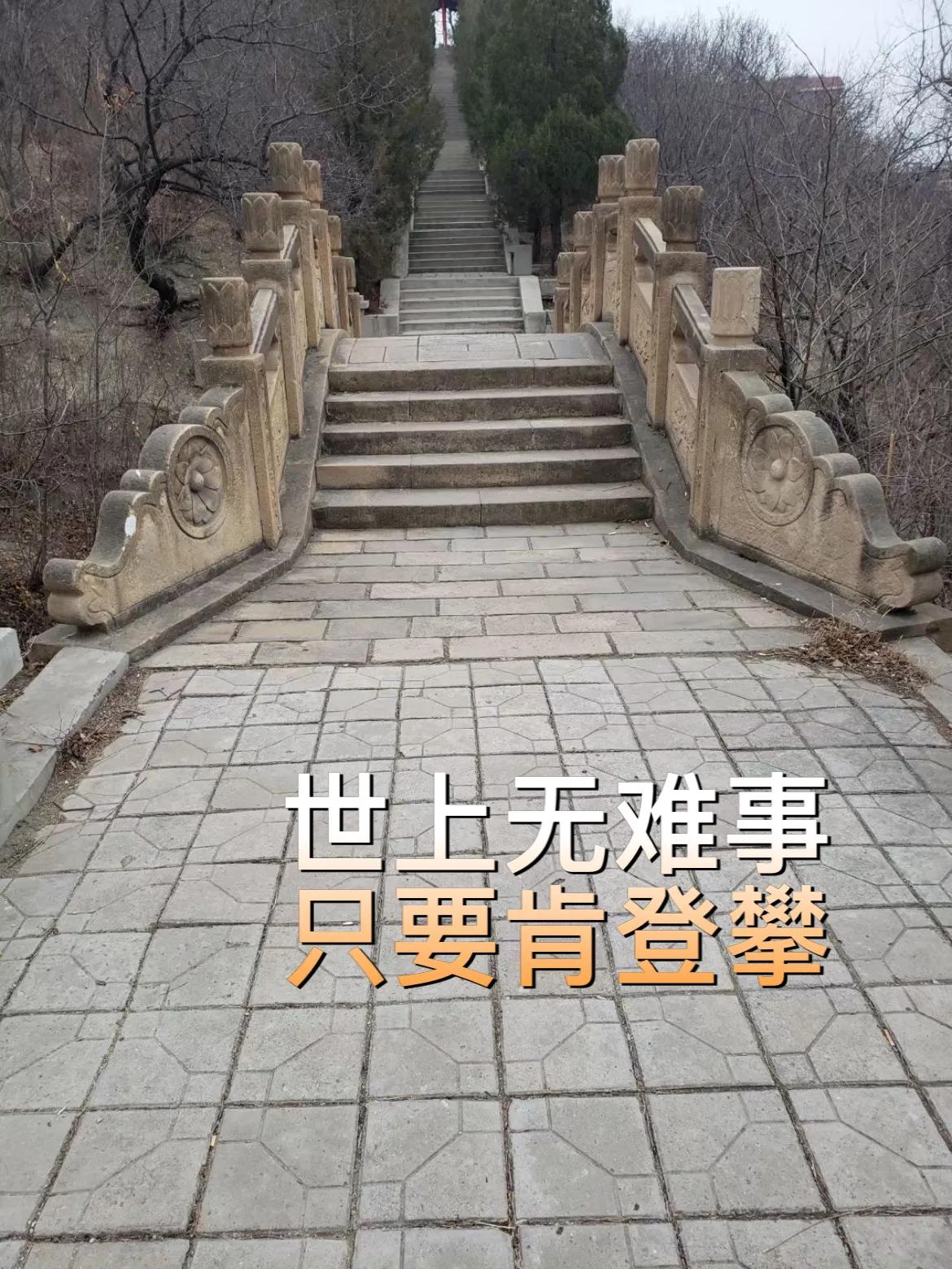 逆水行舟用力撑，一篙松劲退千寻