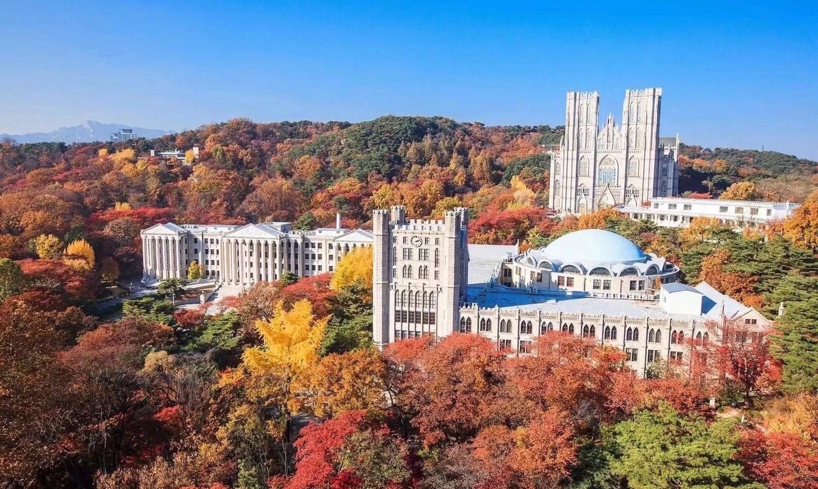 只看QS排名没意义，韩国人眼中的好大学是这些