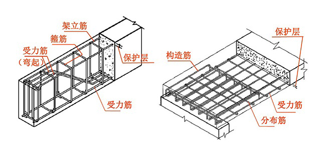 不会看钢筋图纸怎么办？30年老师傅教你看懂，5分钟教会你