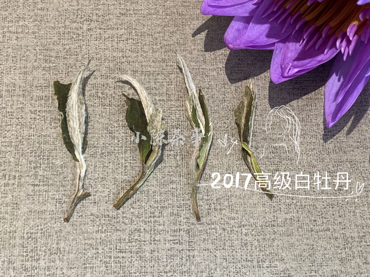 陈年的白牡丹，带有浓浓的香烟味，这是转化出来的陈香？扯淡