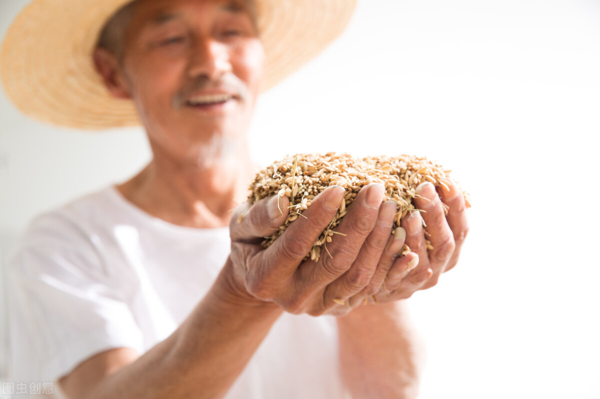 家里有地的人注意了！石家庄出台方案，明年这项补贴每亩给200元