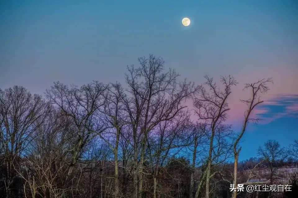 郦波之《旅夜作书》到底是不是咏怀诗？别被带偏了