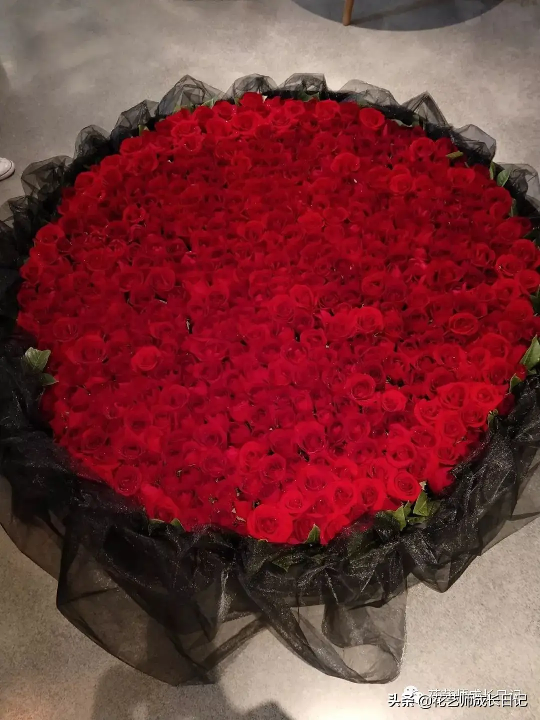 玫瑰数量的含义是什么（玫瑰花数量代表的意义）