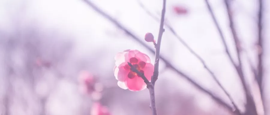 寒衣寄哀思，千里送别亲，一缕温情暖寒夜