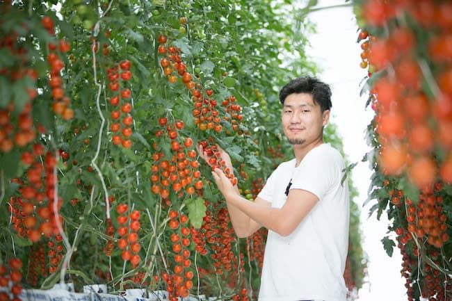 日本学渣辍学种地，利用物联网提高生产效率，走上人生巅峰