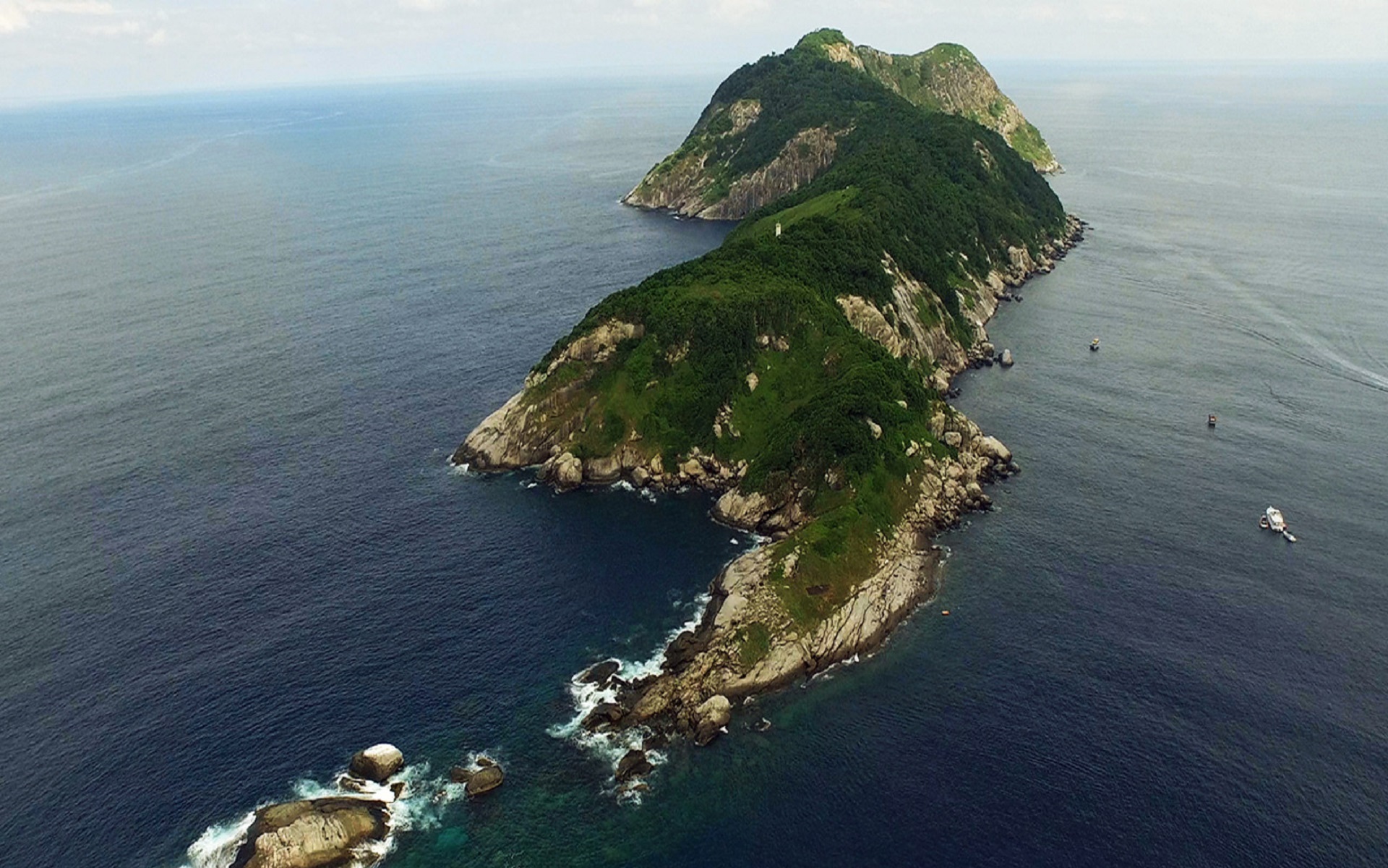 人类禁区——巴西蛇岛！科学家：上岛就意味着你离死亡只有一米