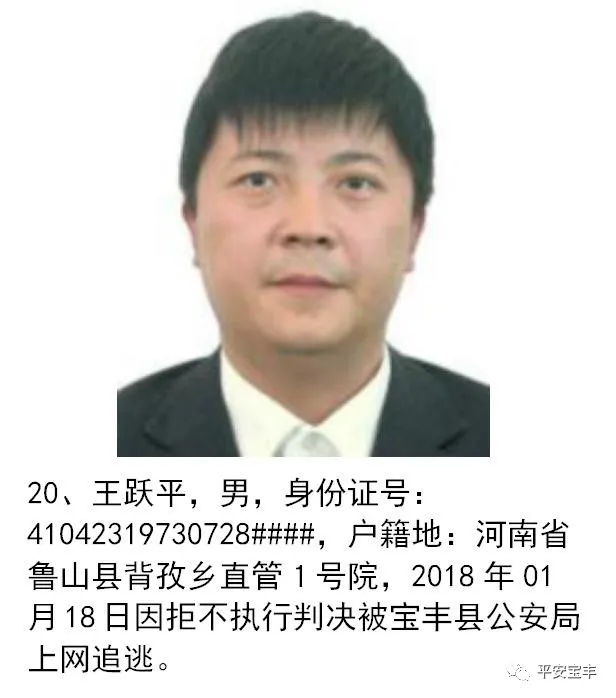 网上逃犯,网上逃犯名单查询系统