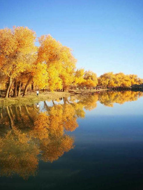 「诗词鉴赏」十首最美的秋日诗词，一起感知秋日美好