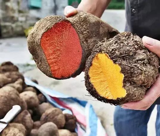 薯莨市价多少钱一斤揭秘香云纱