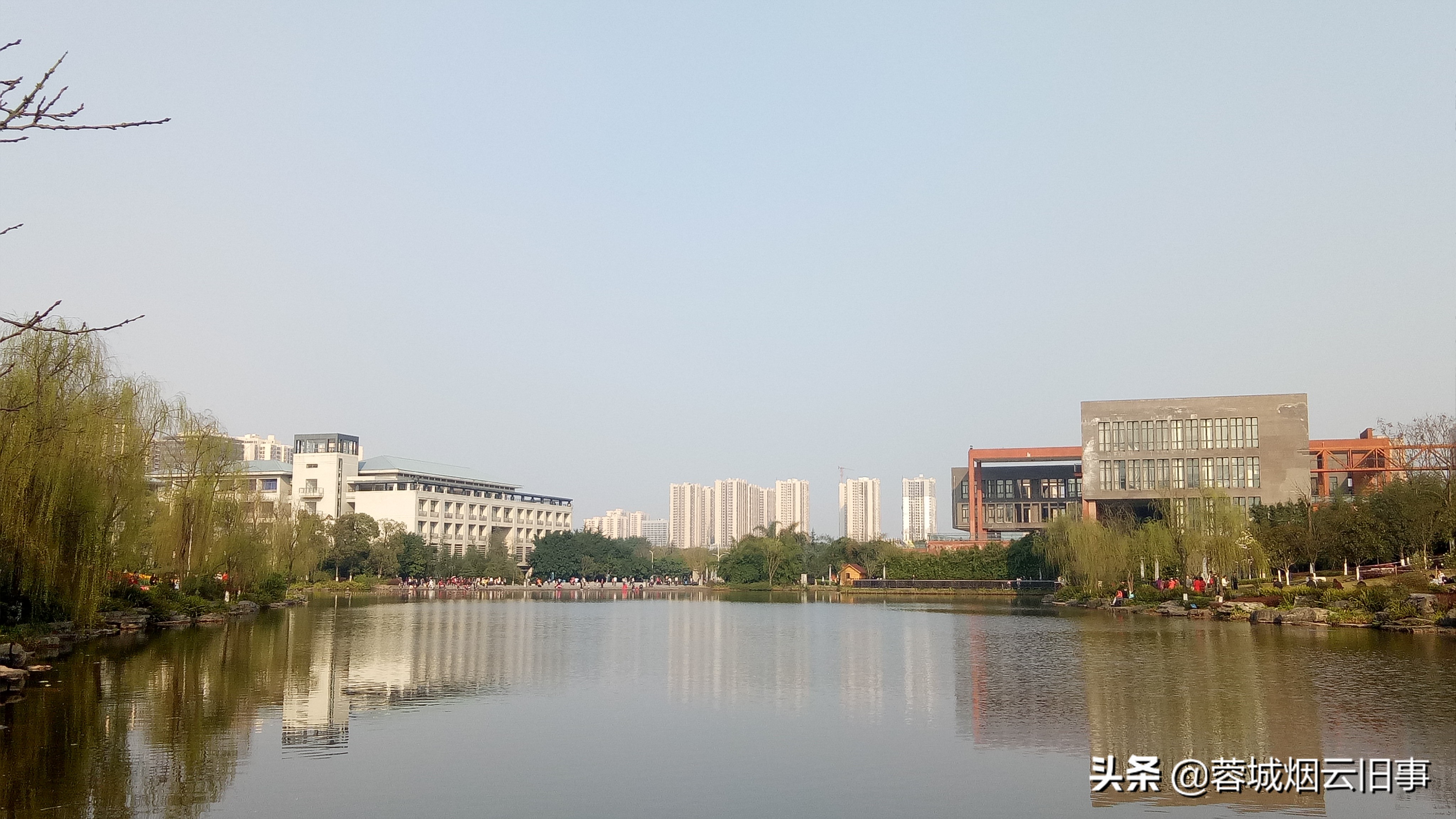 小编带你游校园之重庆大学虎溪校区，体验的芬芳！