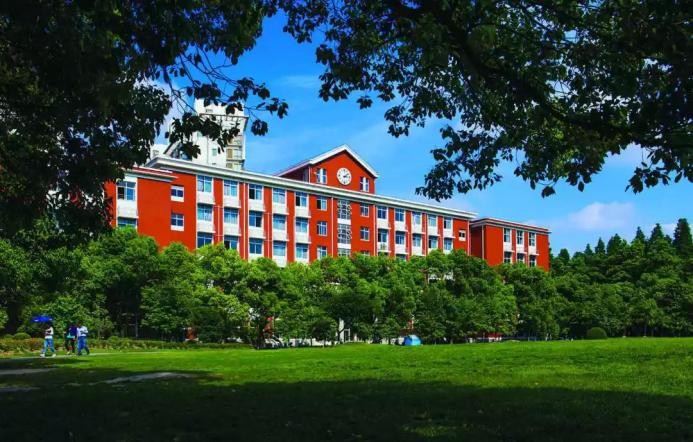 登上Science！上海科研团队成果：有望解决这一重大科学难题！