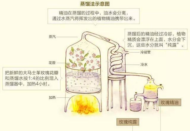纯露是什么？跟爽肤水一样吗？