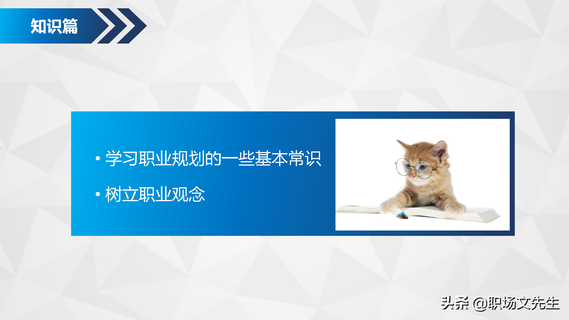 如何进行自我职业规划？34页企业部门职业规划PPT模板，生存之道