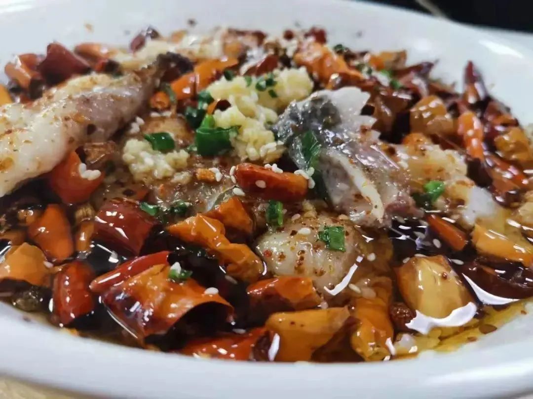 高职高考必看｜全面了解广州城市职业学院