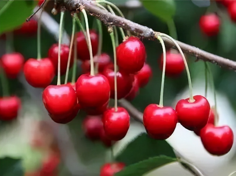 农产品营销运营，如何巧借事件营销