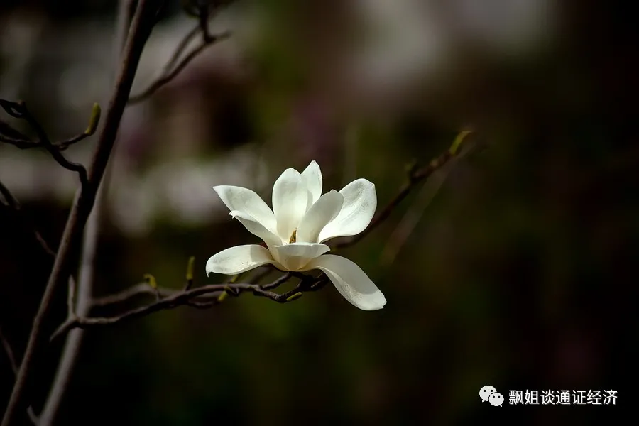 如何推广各种商城？