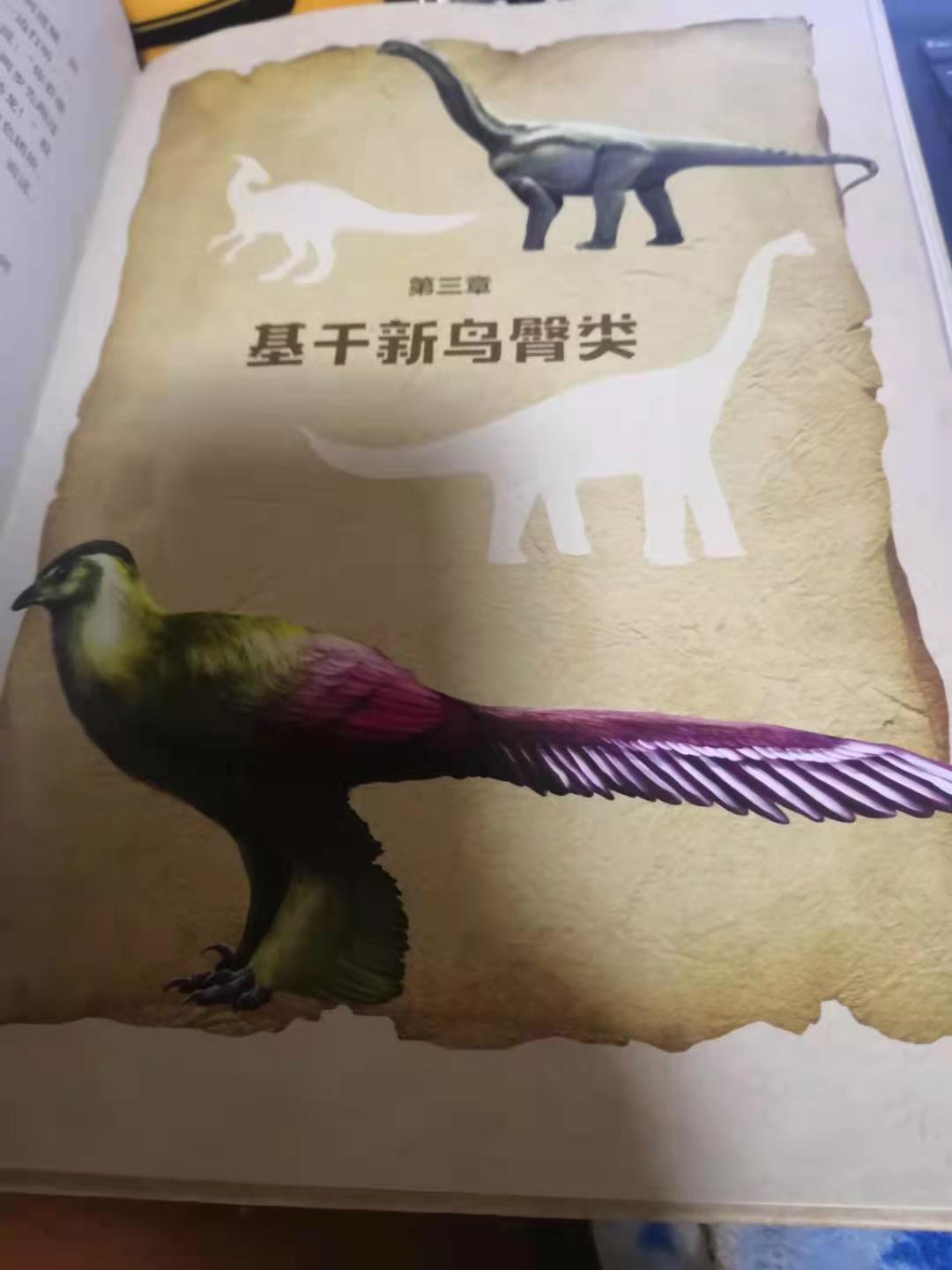 灭绝的古生物中为什么恐龙会备受关注？中国的恐龙到底有多少种？