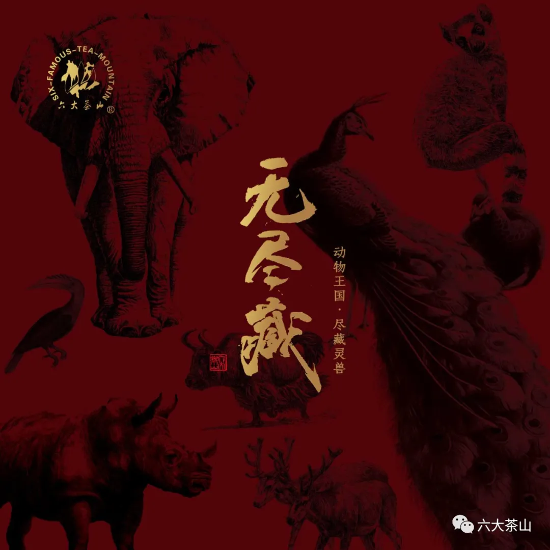 万物共生、无尽藏宝!六大茶山透过它向世人展示云南之美