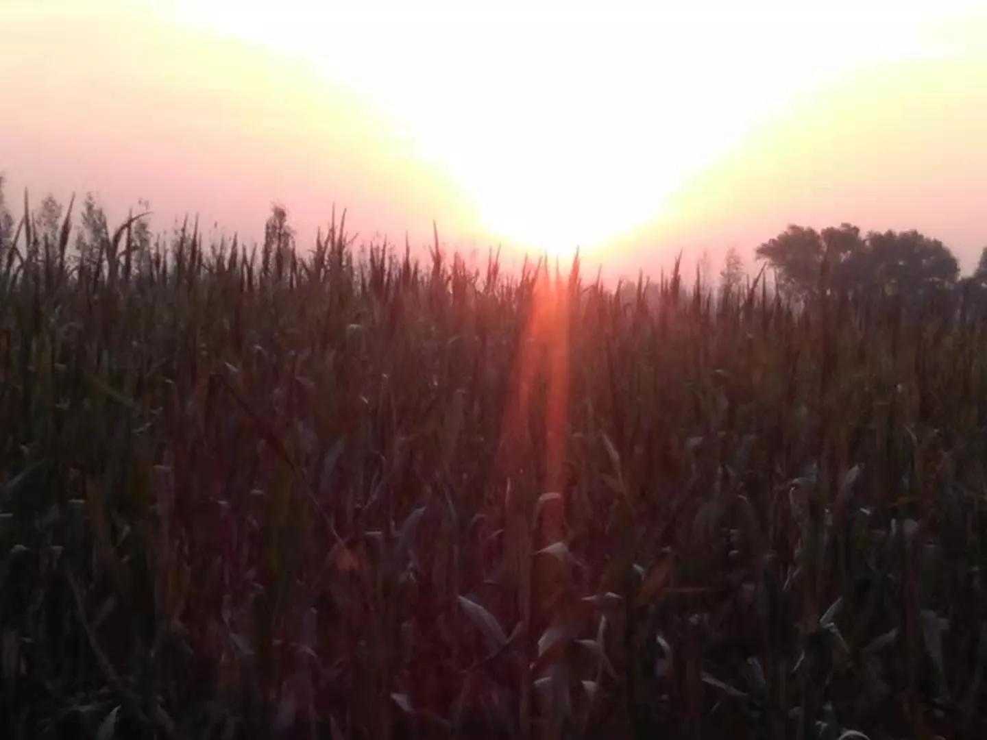 《原创文章》幸福就是不多想