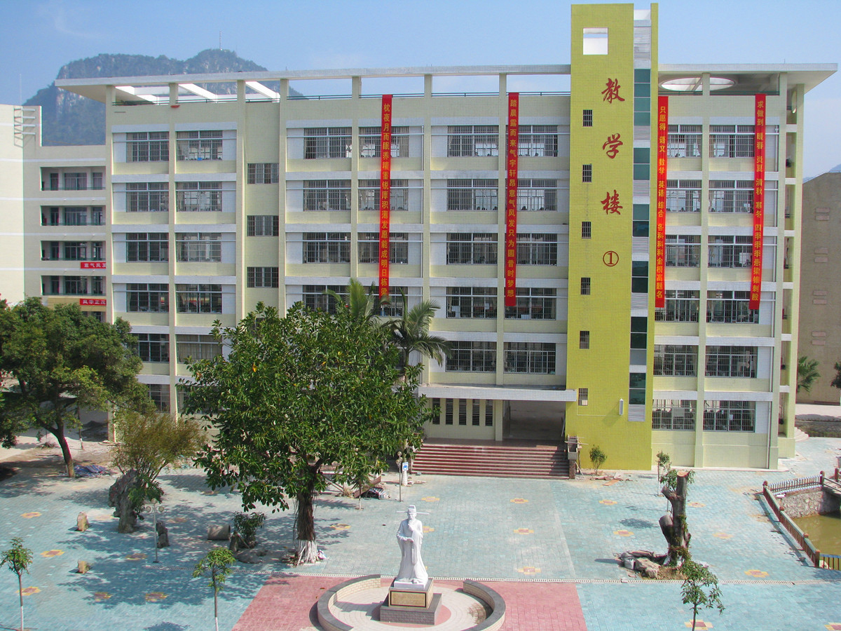 广西河池好高中，都安高中再续辉煌，理科最高706分，创历史纪录