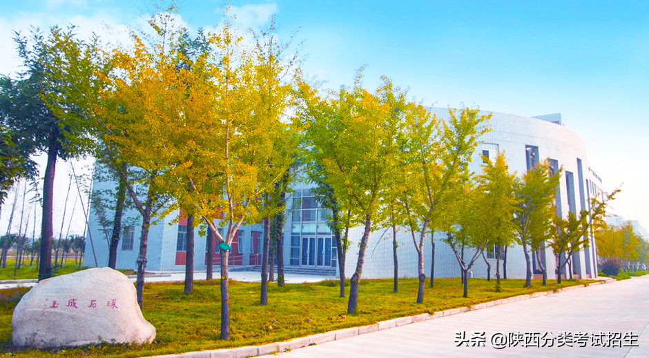 渭南职业技术学院2020年示范高职院校单独考试招生章程