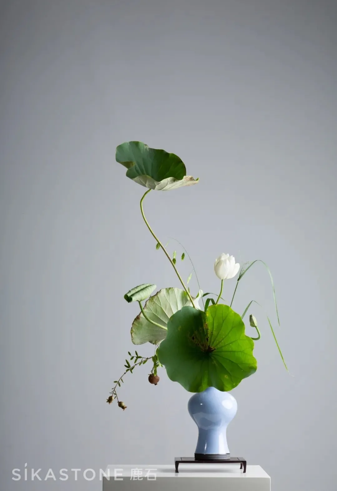 花道圈的人人宠,这些作品真是绝了