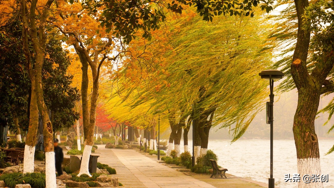 学校的风景作文（校园美景）