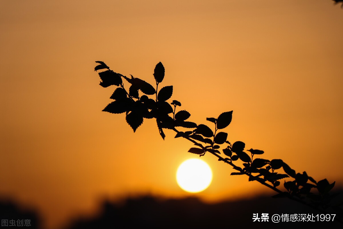 續上一杯茶,或約上兩三個好友,做自己喜歡的事,給自己的生活添幾分