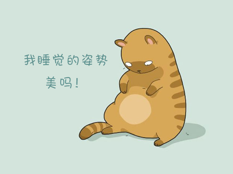 猫咪睡觉会做梦?原来猫咪的梦境和我们一样!太神奇