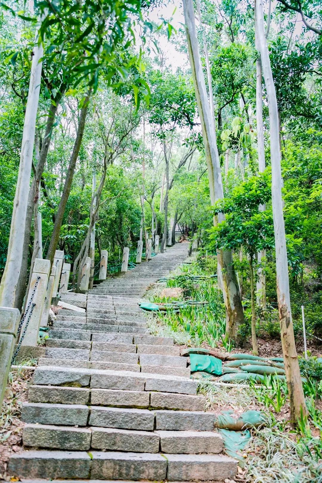 深圳值得征服的10座山，你去过几座？