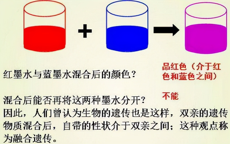 达尔文被实锤错误，无数科学家填漏，进化论究竟应该信还是不信？