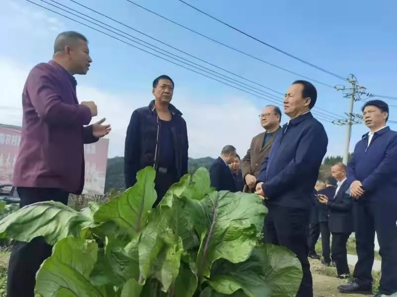 省人大常委会联工委调研组在麻阳调研代表工作室建设工作