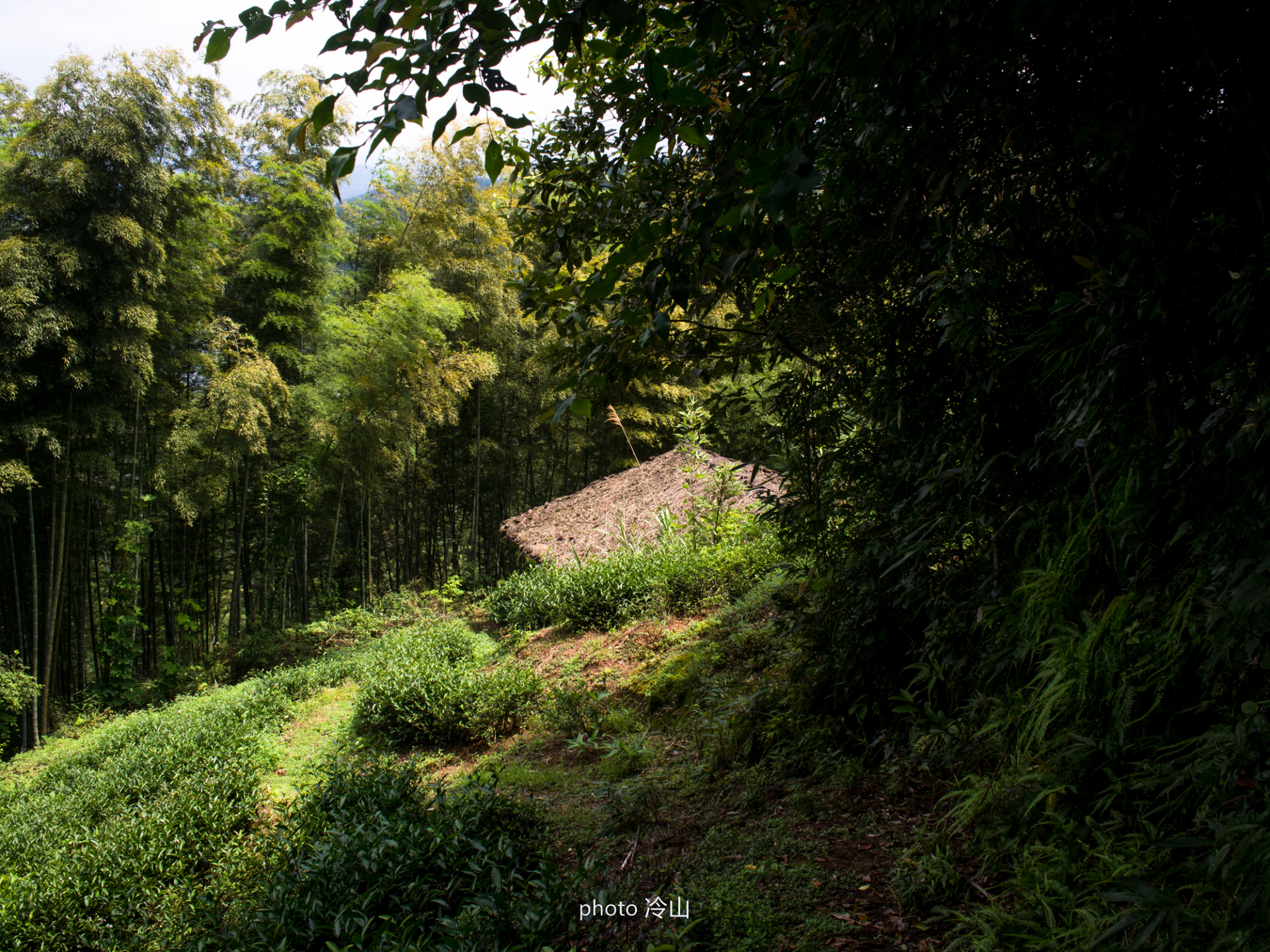 丹霞泰宁，带你打卡那些秘境美景