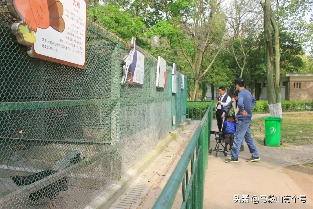 马鞍山人，别忘了动物园！这里曾是我们的全部！